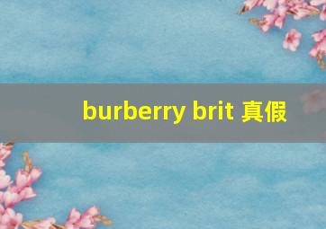 burberry brit 真假